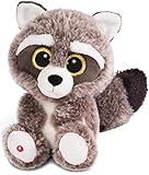 NICI Glubschis: Das Original – Waschbär Clooney 25 cm – Kuscheltier Augen – Flauschiges...