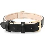 HEELE Hundehalsband aus weichem Leder, für mittelgroße Hunde, atmungsaktiv, gepolstert, mit...