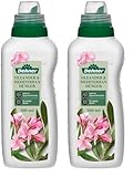 Dehner Oleander- und Mediterrandünger, hochwertiger Flüssigdünger, Dünger für...