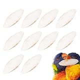 Sepia für Wellensittiche, Sepia für Schnecken, Sepia-Knochen für Aquarium, 10 Teile,...