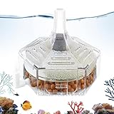 Fischbecken Wasserfilter - Kleine Aquarium Filteranlagen Technik - Filterung Und Reinigung Für...