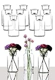 BigDean 12er Set Blumenvase - Tischvase Glasvase für Blumen und Trockenblumen - Kerzenhalter...