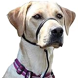 Premium Geschirr Hund - Erziehungshalsband liebevoll, Antizug- / no Pull Geschirr garantiert,...