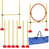 PawHut Agility Set Hunde 3-teiliges befüllbar Agility-Ausrüstung für Hundetraining...