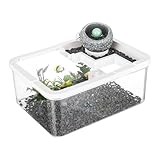 Aquarien für Betta-Fische | Couchtischdekoration mit Aquarium | Ökosystem mit USB-Pumpe für...