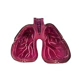 Aschenbecher aus Kunstharz, geeignet für Zigaretten und Asche, verschönert Ihren Tisch, ideal für...