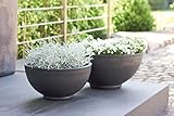Wunderschöne Pflanzschale/Schale zum Bepflanzen – Runde Blumenschale -...