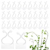 Yoosso 120 Stück Pflanzenclips, 2 Größen Pflanzen Clips Wand Pflanzen Wandhalterung...