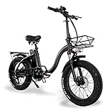 E Bike Fat Reifen 20'* 4' Mit 48V 15Ah Batterie, E-Bike für Herren und Damen, Long Range 60-80KM...