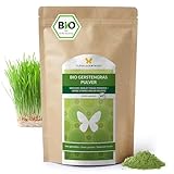1kg BIO Gerstengras Pulver aus DEUTSCHLAND, Rohkost-Qualität, aluminiumfreie Verpackung, aus jungen...
