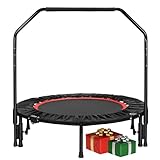 LIFERUN Kleine Trampolin Indoor 101cm, Mini Fitness Trampoline Erwachsene, 150 kg belastbar, mit...