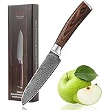 Wakoli EDIB Santoku 12 cm mit VG10-Kern und 67 Lagen Stahl I Profi Kochwerkzeug mit Holzgriff I...