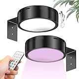 Générique Bildbeleuchtung für Wand – LED-Anzeigeleuchte, magnetisch, Fernbedienung, Foto, mit 3...