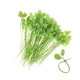 Twist-Pflanzenbinder – Flexibler Gartendraht | Stielstützklammern, Wiederverwendbare...