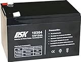 DSK 10364 - Versiegelte wiederaufladbare AGM-Bleibatterie 12V mit 12Ah. Ideal für Auto- und...