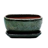Bonsai-Schale mit Unterteller Gr. 2 - Grün - rechteckig - Modell GB5 - L 17cm - B 13cm - H 7,5 cm