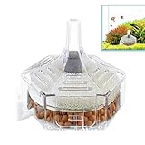 Aquariumfilter | Filtersystem für Aquarien - Filterung Und Reinigung Für Fischbecken Von...