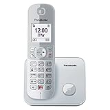 Panasonic Dual-Micro/Nano KX-TG6851GS Schnurlostelefon (Bis zu 1.000 Telefonnummern sperren,...