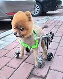 Rollstuhl mit 4 Rädern, leichter Hundebuggy für kleine und mittelgroße Haustiere, verstellbarer...