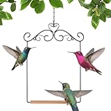 Dioeazh Schaukel - Außen Aufhängbare Ara Sitzstange | Vogel Spielplatz Schaukel Ständer | Für...