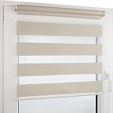 Deco4Me Doppelrollo Klemmfix ohne Bohren (140 x 160 cm, Beige) - Duo Rollo lichtdurchlässig -...