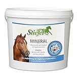 Stiefel Mineral für Pferde, hochwertiges Mineralfutter zur optimalen Versorgung mit Mineralstoffen...