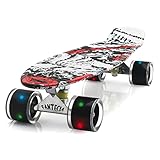 FANTECIA 22' Zoll komplettes Mini Kunststoff Skateboard, Cruiser Skateboard für Kinder Alter 6-12,...