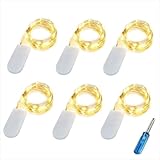 BXROIU 20er Micro LED Lichterkette mit CR2032 Batterie betrieb Auf 2 Meter Silberdraht für Party,...