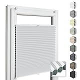 Home-Vision® Premium Doppelplissee Wabenplissee ohne Bohren mit Klemmfix (Weiß-Weiß, B125cm x...