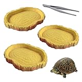 YFPOPONE 3 Stück Terrarium Wasserschale, Terrarium Zubehör 11 * 8 * 1cm, Wasserschale Terrarium Im...