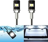 Xnourney Kennzeichenbeleuchtung, Führerschein, Schraubbolzen, LED, Super Bright 12 V, wasserdicht,...