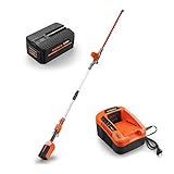FUXTEC 40V Akku Hochentaster Hochheckenschere Set mit Lithium Akku Batterie 2Ah/EP20 + Ladestation...