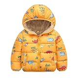 Winter-Outfit für Kleinkinder, Jungen und Mädchen, langärmelig, mit Kapuze, Dinosaurier-Druck,...