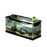 Fischtank, kleines Glasaquarium mit doppeltem Filtersystem, hochtransparentes Acryl, Aquarium mit...