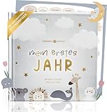 Lebenskompass Babyalbum Mein erstes Jahr 'Air' mit über 75 Stickern & Spruchkarte EXTRA - Ein Baby...