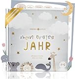 Lebenskompass Babyalbum Mein erstes Jahr 'Air' mit über 75 Stickern & Spruchkarte EXTRA - Ein Baby...