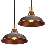 TOKIUS Retro Pendelleuchte, Ø27cm Hängelampe Vintage Industrial Style Metall Deckenleuchte E27...