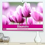 Blaumohn - Ein Blütentraum in lila (Premium, hochwertiger DIN A2 Wandkalender 2022, Kunstdruck in...