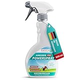 RASCH HOME DEFENDER® Ameisenspray für Innen & Aussen [500ML] - Effektives Ameisen Spray -...