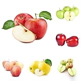 apfel, obstsamen, winterfeste balkon apfelbaum obstbäume, winterharte garten bio 50samen