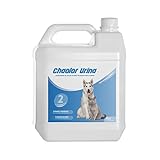 RC ocio Enzymatisches Reinigungsmittel beseitigt Hunde-/Katzenurin | Geruch entferner | Enzyme Spray...