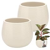 KOTARBAU® Blumentopf Cremefarbe Keramik Rund ⌀ 12 cm Höhe 14 cm Glasiert 2 St. Groß Übertopf...
