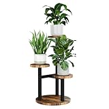 Bamworld Blumenständer Holz Pflanzenständer Pflanzenregal Indoor Blumenregal Kleines Metall...