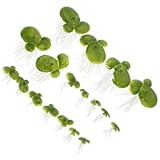 ORFOFE 36 Stück Teiliges Künstliche Schwimmende Wasserlinsen Aquarium Deko PVC Simulation Duckweed...