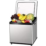 WEIFENG Mini-Kühlschrank, Großräumige Tragbarer Kühlschrank Kühler Mit Temperaturregelung, for...