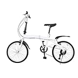 ARBGO 20 Zoll Faltrad Klapprad, Faltfahrrad mit Schutzbleche, Verstellbarer Sitz, Scheibenbremse...