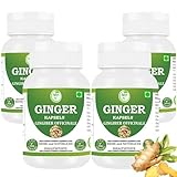 Morsan Healthcare Ingwer (Zingiber officinale) Kapseln | Packung mit 60 x 500 mg. Vegetarische...