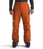 THE NORTH FACE Herren Freedom Insulated Pant, Earthen Copper, Large Regular