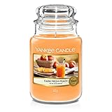 Yankee Candle Farm Fresh Peach Duftkerze, Glas, Orange, 10.7 cm, Groß