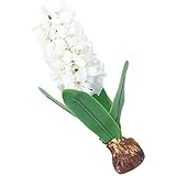 FOMIYES 1 Stück weiße Jazinth-Blume, realistisch, für Büro, Kunstblume, für...